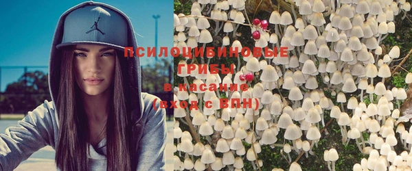 прущая мука Переславль-Залесский