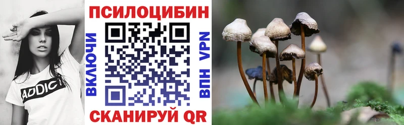 Купить  Комсомольск-на-Амуре  Псилоцибиновые грибы ЛСД 